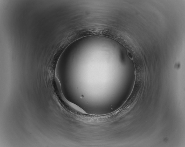 X0000097970040200803241246