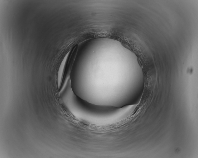 X0000097970041200803241246