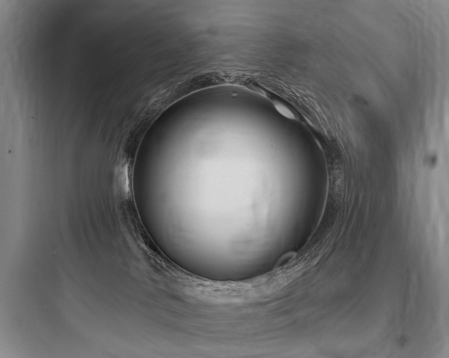 X0000097970042200803241246