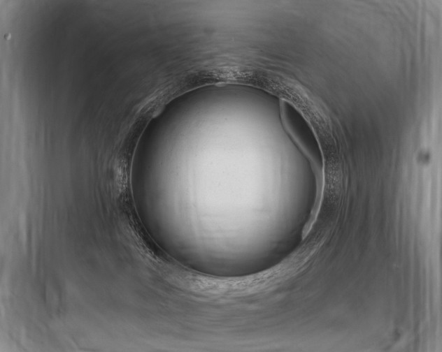 X0000097970043200803241246