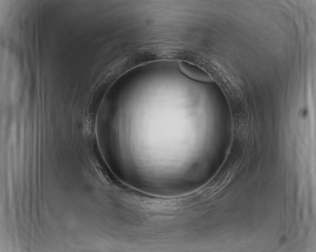 X0000097970044200803241246