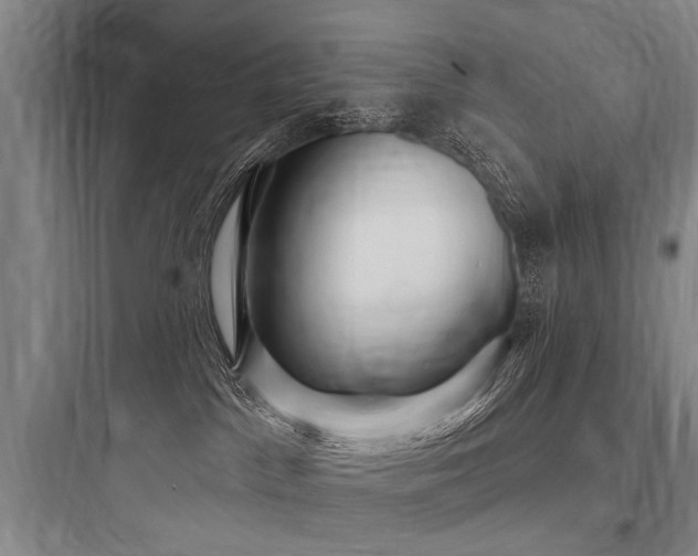 X0000097970045200803241246