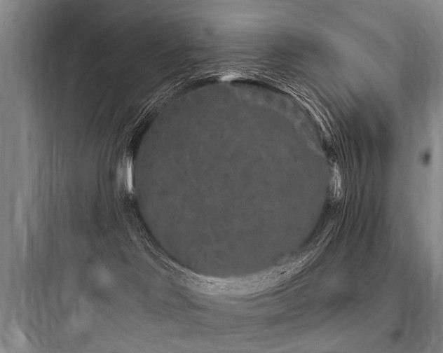 X0000097970046200803241246