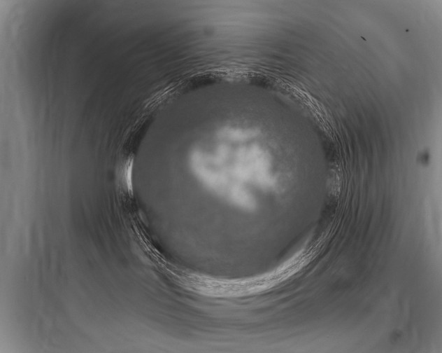 X0000097970047200803241245