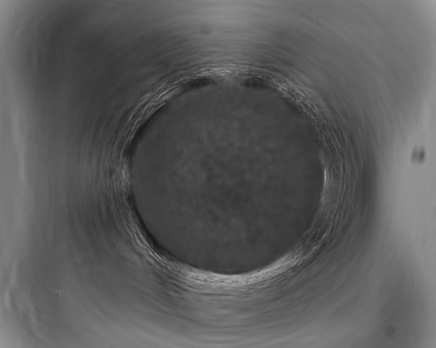 X0000097970048200803241245