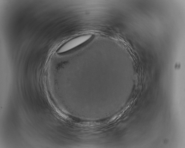 X0000097970049200803241245
