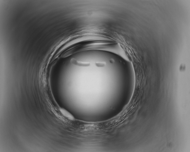 X0000097970050200803241245