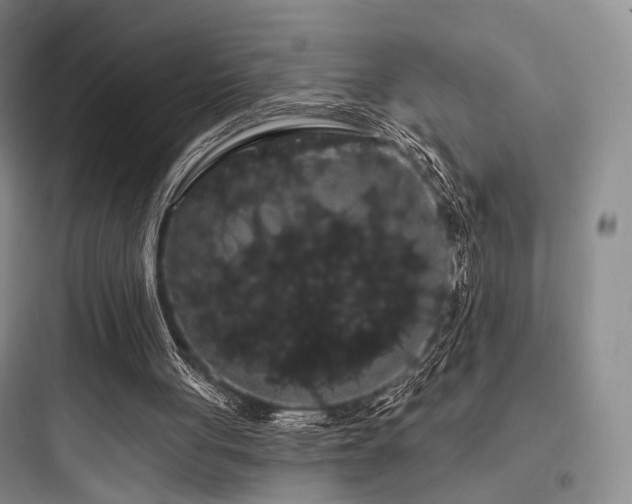 X0000097970051200803241245