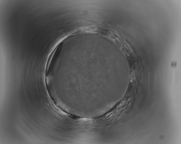 X0000097970052200803241245