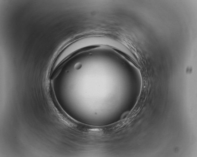 X0000097970053200803241245