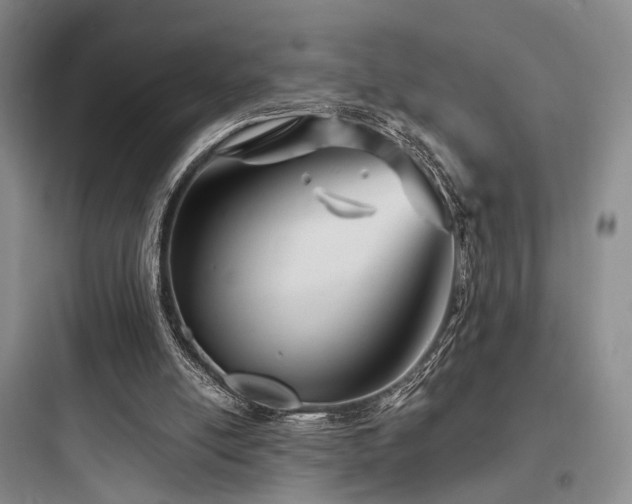 X0000097970054200803241245