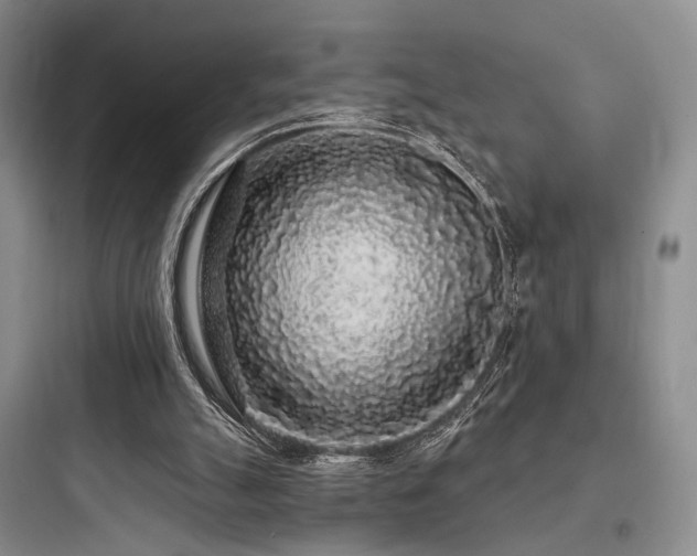X0000097970055200803241245