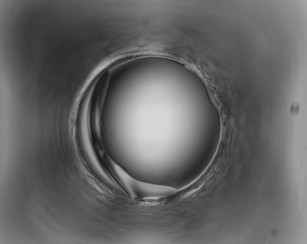 X0000097970056200803241245