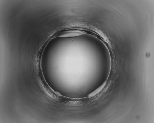 X0000097970057200803241245