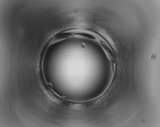 X0000097970058200803241245