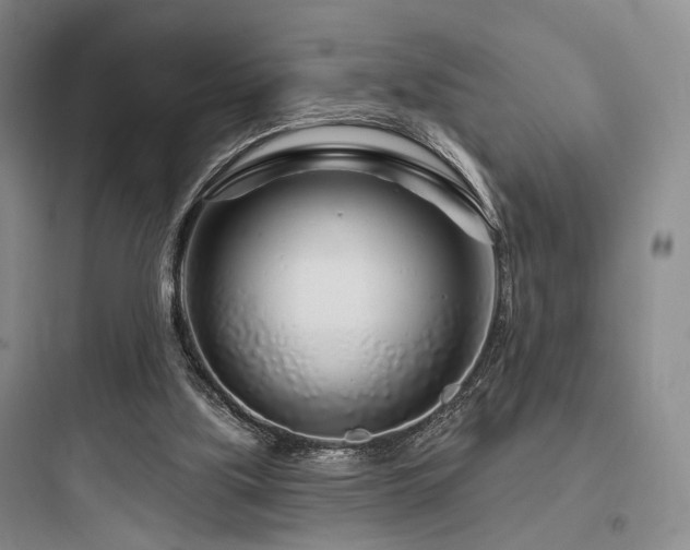 X0000097970059200803241245