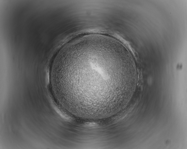 X0000097970061200803241245