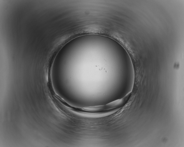 X0000097970062200803241245