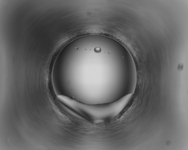 X0000097970063200803241245