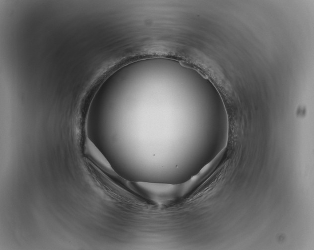 X0000097970064200803241245