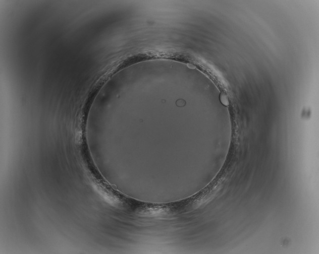 X0000097970065200803241245