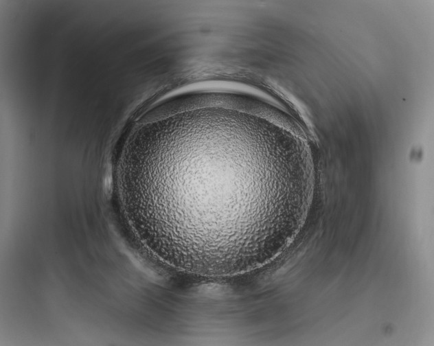 X0000097970067200803241245
