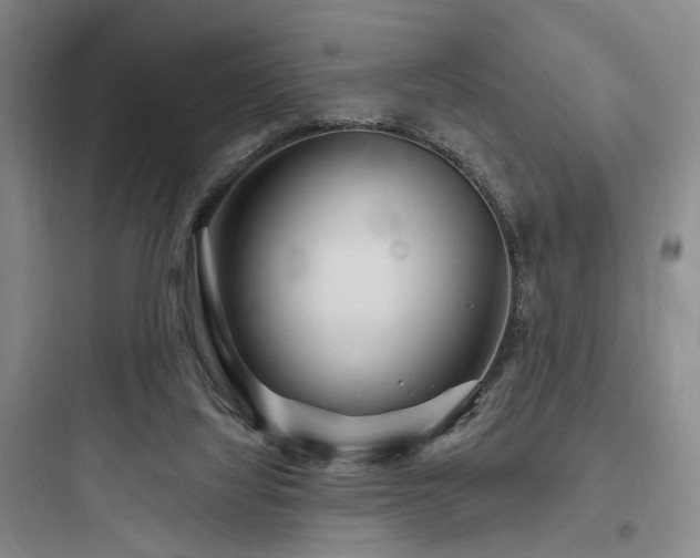 X0000097970068200803241245
