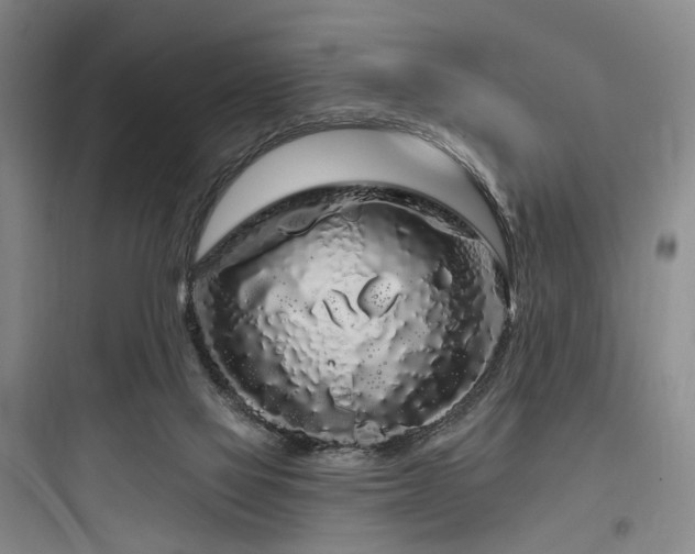 X0000097970069200803241245