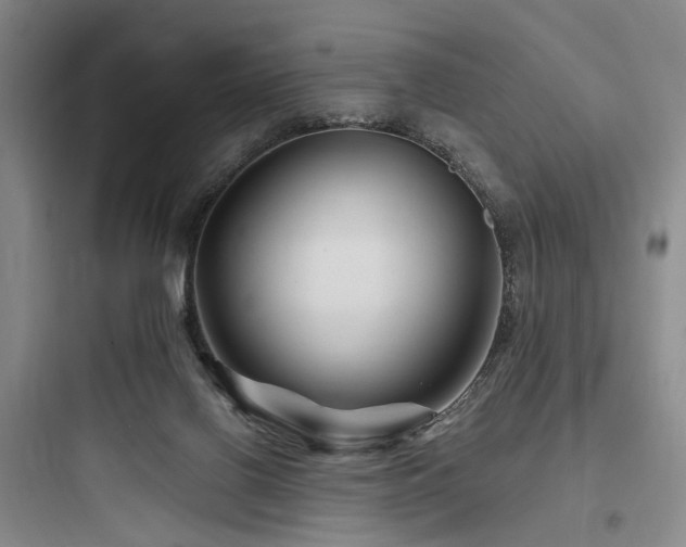 X0000097970070200803241245