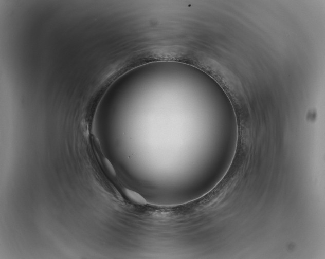 X0000097970071200803241245