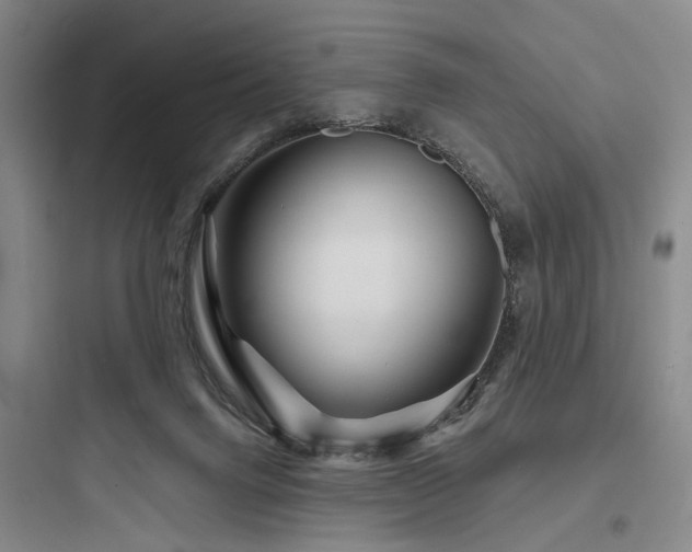 X0000097970072200803241245