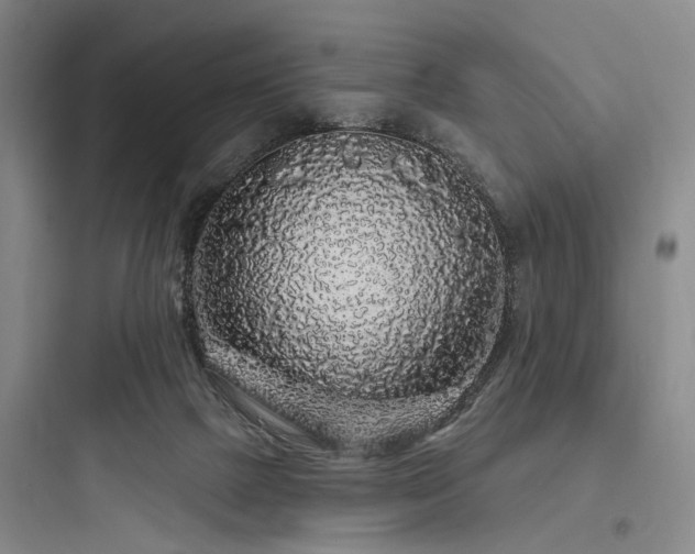 X0000097970073200803241245