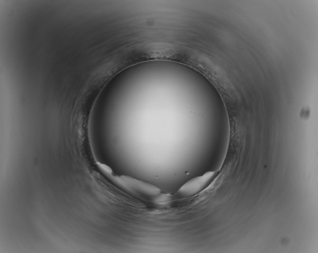 X0000097970074200803241245