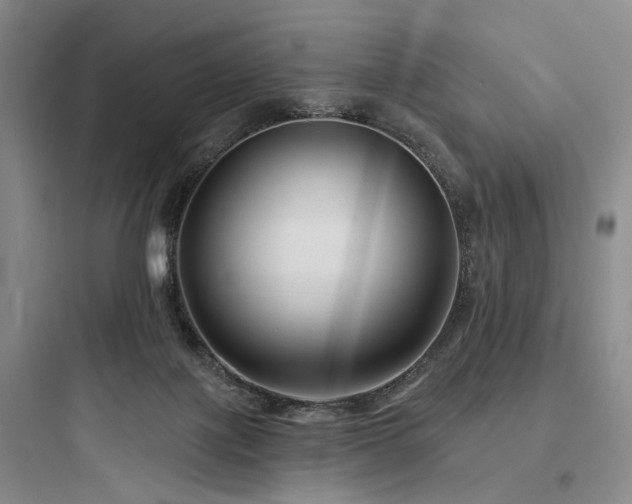 X0000097970075200803241245