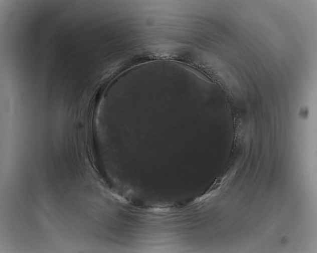 X0000097970076200803241245