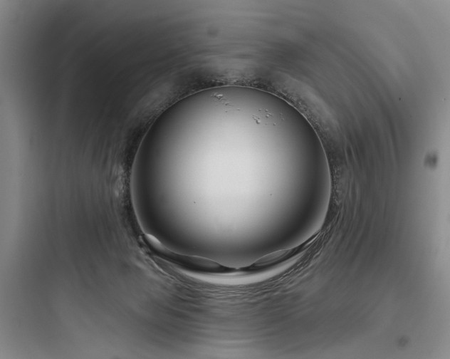 X0000097970077200803241245