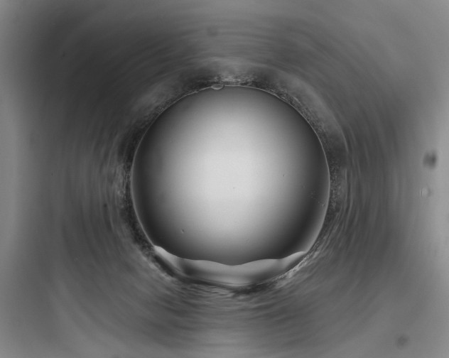 X0000097970078200803241245