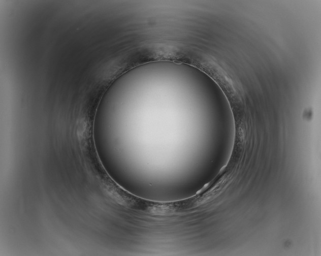 X0000097970079200803241245