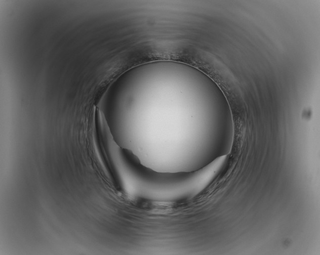 X0000097970080200803241245