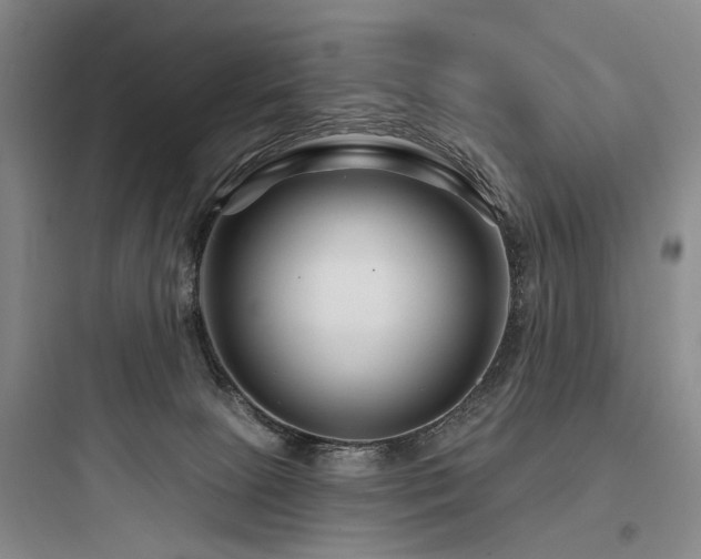 X0000097970081200803241245
