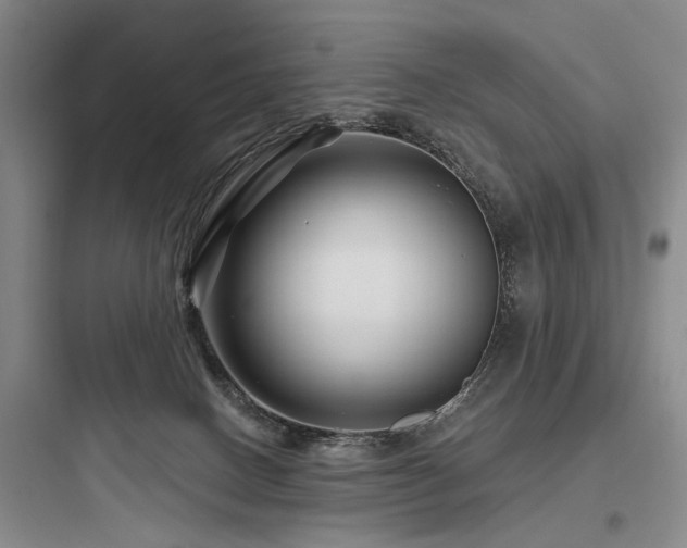 X0000097970082200803241245