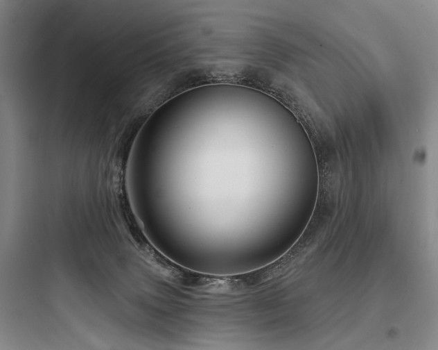X0000097970083200803241245