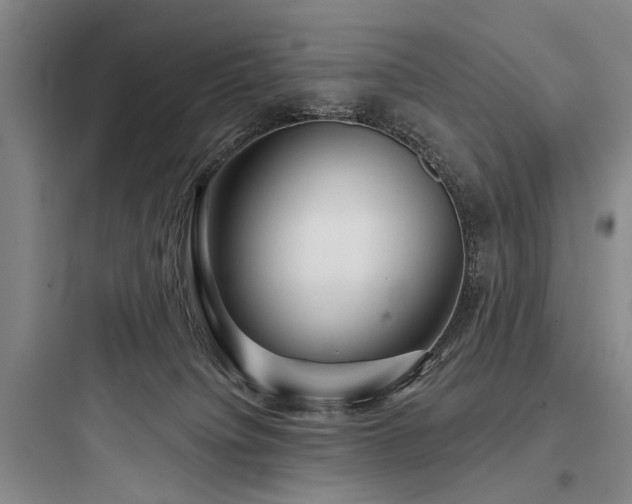 X0000097970084200803241245