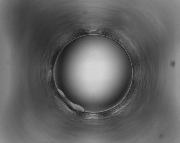 X0000097970085200803241245