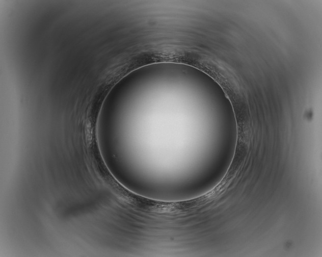 X0000097970086200803241245