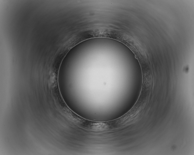 X0000097970087200803241245