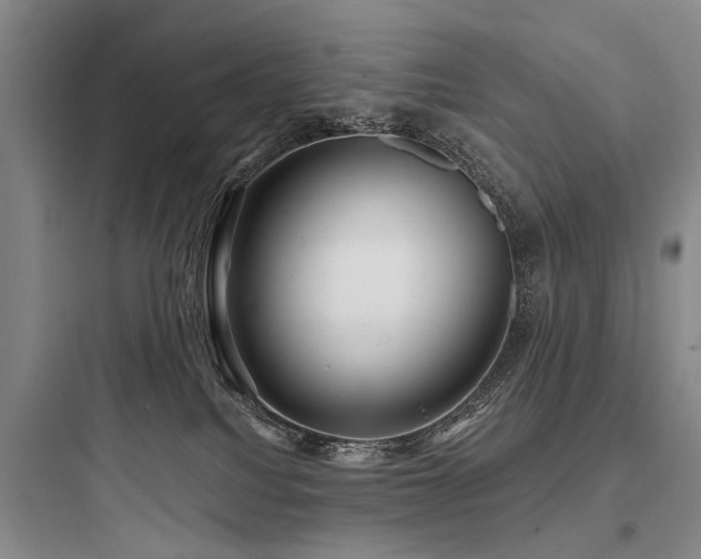 X0000097970088200803241245
