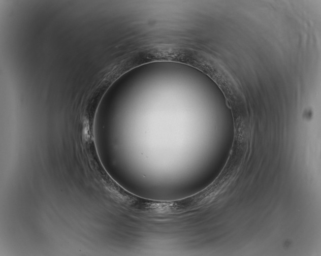 X0000097970089200803241245