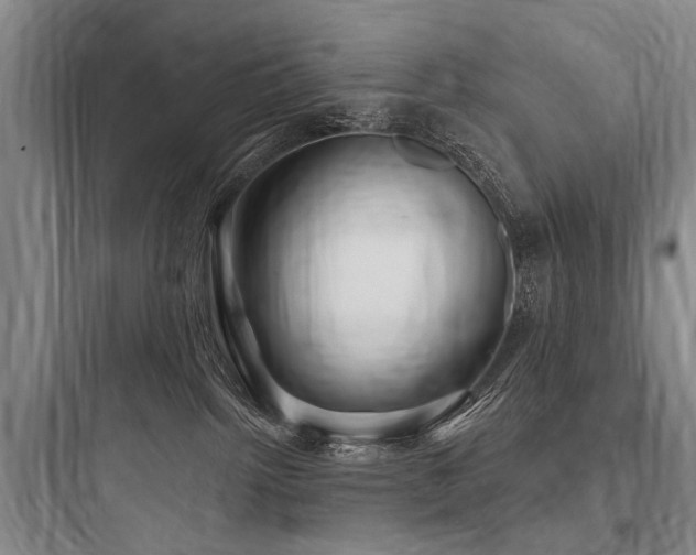 X0000097970092200803241245