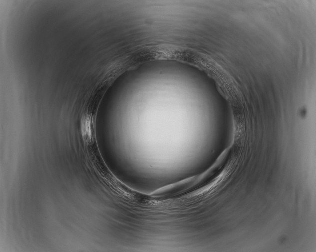 X0000097970094200803241245